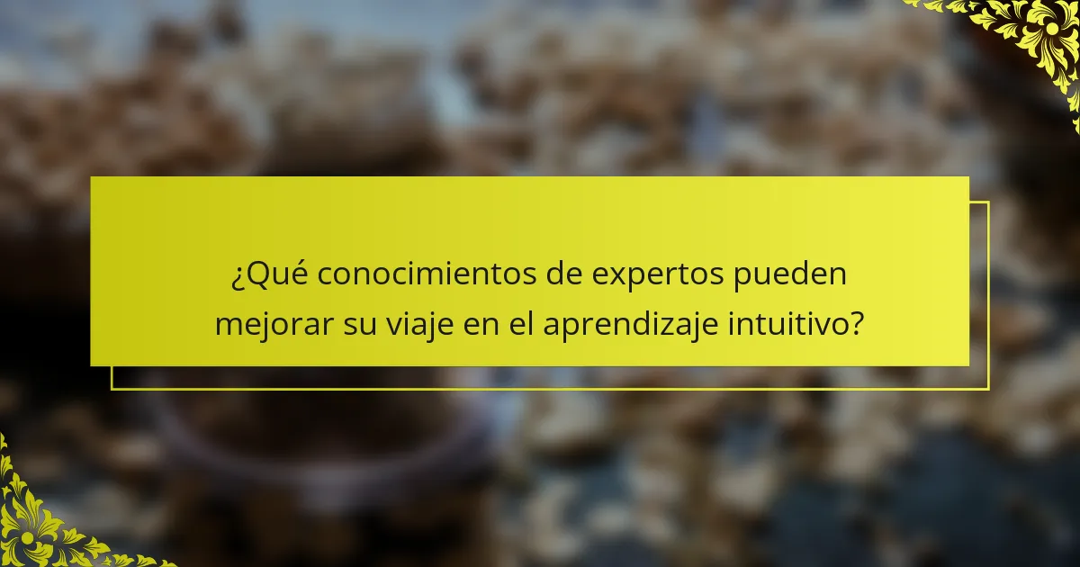 ¿Qué conocimientos de expertos pueden mejorar su viaje en el aprendizaje intuitivo?
